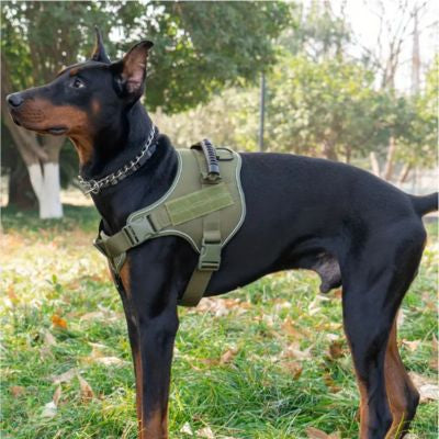 Harnais chien tactique militaire kaki