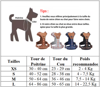 Harnais chien tailles harnais