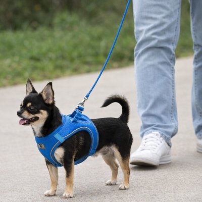 Harnais chiot ajustable et réfléchissant