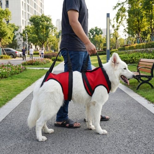 Harnais de levage chien rouge vif