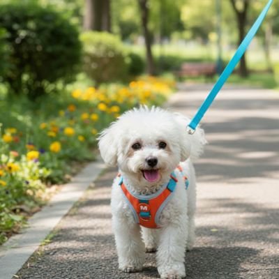 Harnais petit chien anti traction