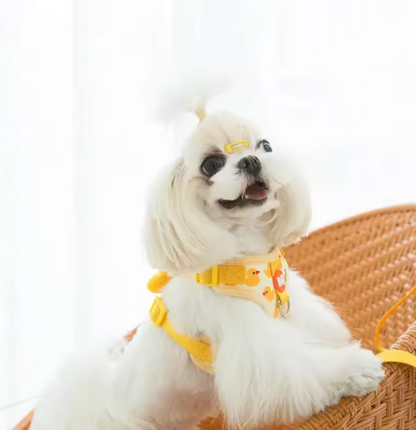 Harnais petit chien douillet confortable