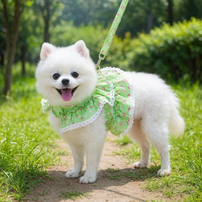 harnais petit chien floral vert