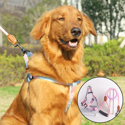 harnais pour chien action arc ciel