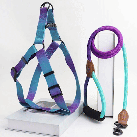 Harnais pour chien ergonomique vidéo