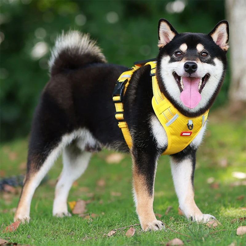 harnais pour chien jaune