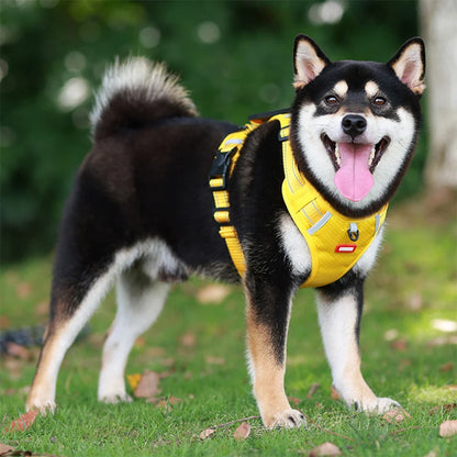 harnais pour chien jaune
