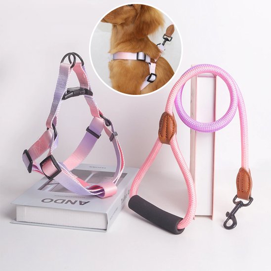 harnais pour chien plusieurs roses