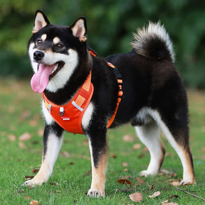 harnais pour chien réglable respirant