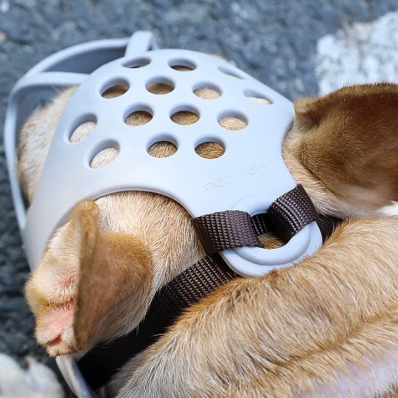 Haut tête muselière pour chien brachycephale