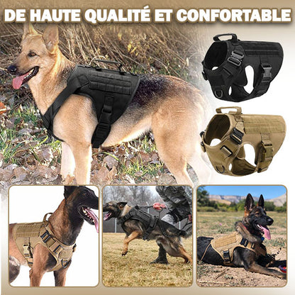 haute qualité harnais pour chien militaire