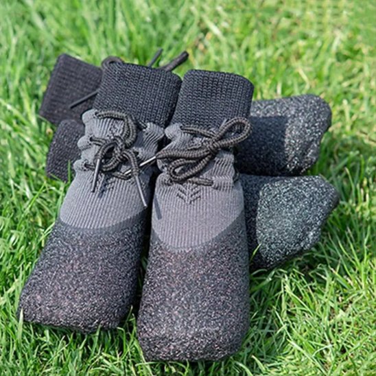 herbe paire Chaussure Chien 