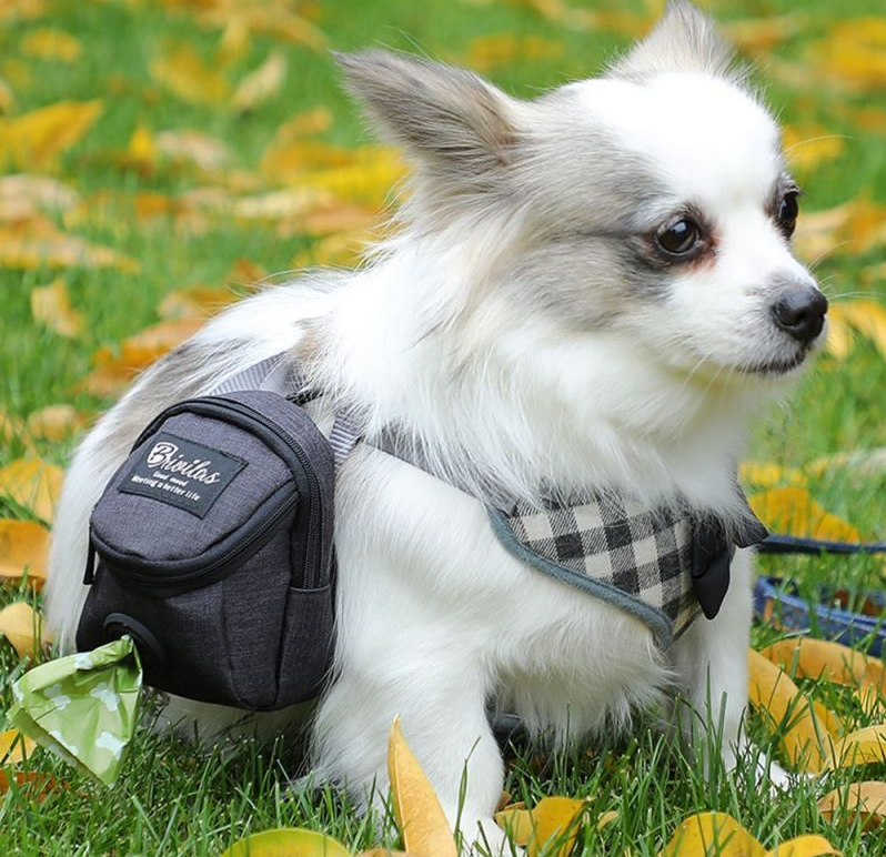 Hikingbag distributeur de sac noir harnais