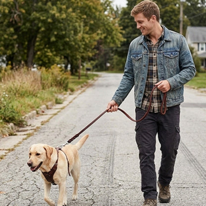 Homme balade chien laisse chien en cuir tressé marron