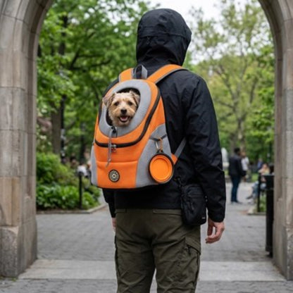 Homme balade ville Sac a dos chien orange