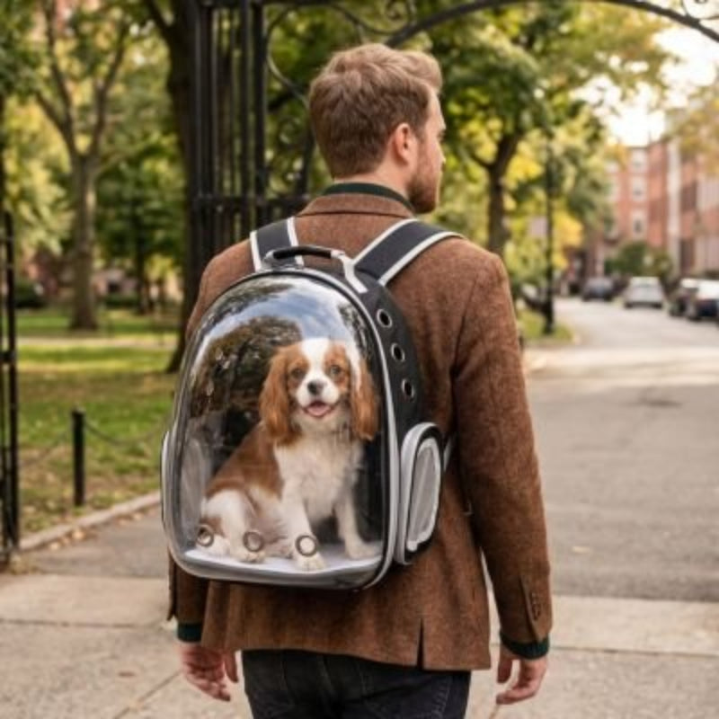 Homme sort pour travailler avec son Sac a dos chien