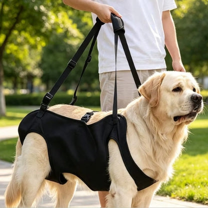 Homme transporte chien parc harnais de levage chien