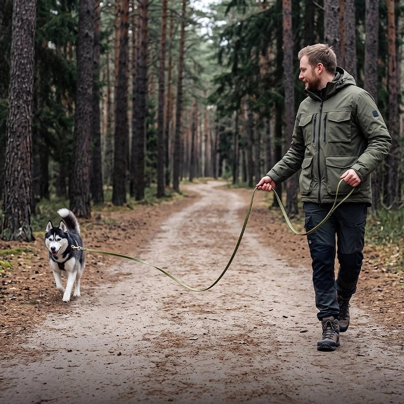 Husky heureux se balade avec Longe pour Chien verte olive