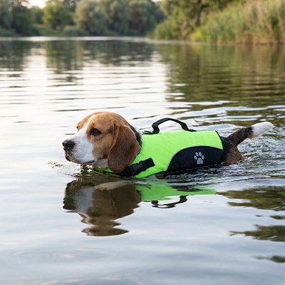 Hydroguard Gilet de sauvetage Chien vert fluo