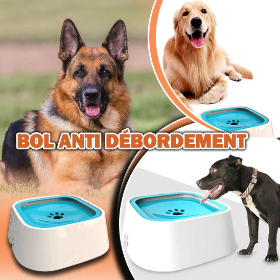 Water bowl™ I Gamelle d'eau anti-débordement