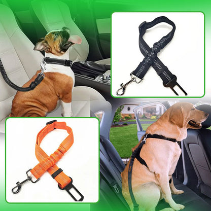 Ceinture de sécurité voiture I Car seat blet™