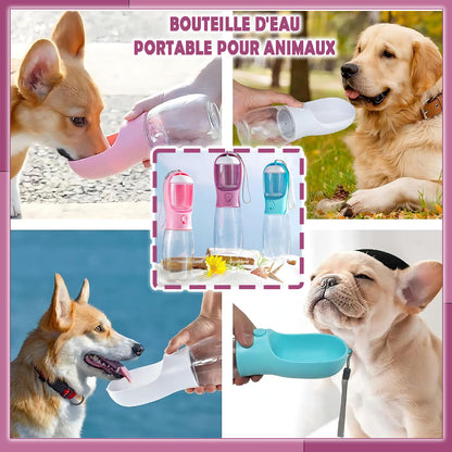 Botte & bowl™ I Bouteille et bol pour chien