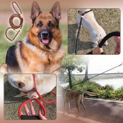 Laisse de dressage ‡ Training leash™