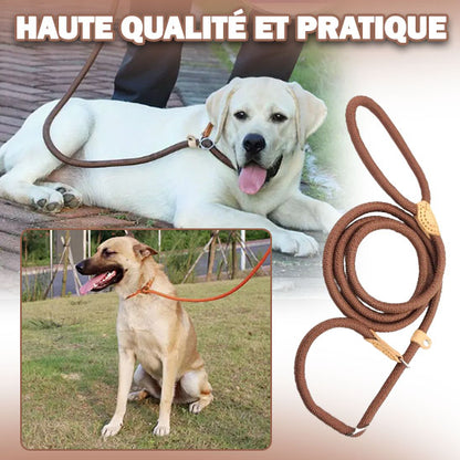 Laisse de dressage ‡ Training leash™