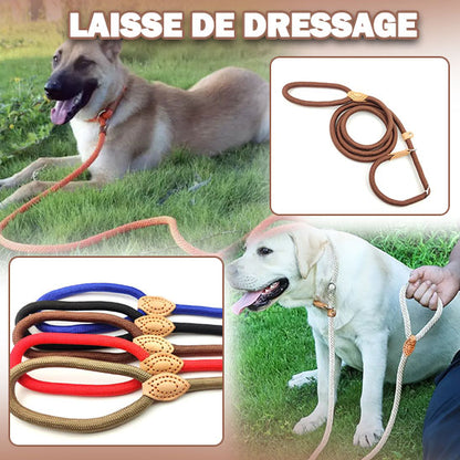 Laisse de dressage ‡ Training leash™