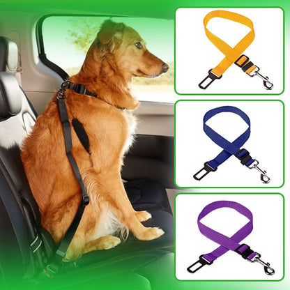 Ceinture de sécurité voiture I Car seat blet™