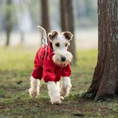 Imperméable pour chien​ ajustable rouge