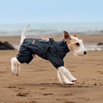Imperméable pour chien​ combinaison