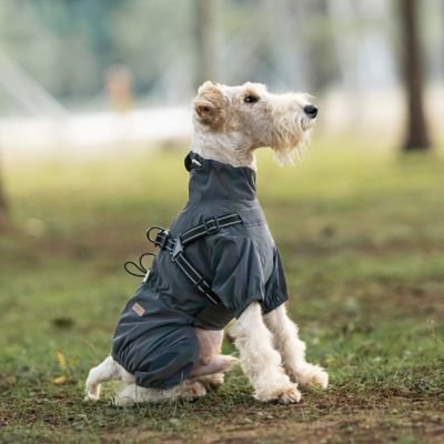 Imperméable pour chien​ réglable gris foncé