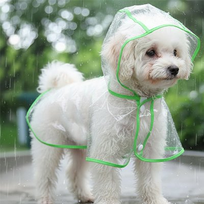 Imperméable pour chien​ vert style visibilité