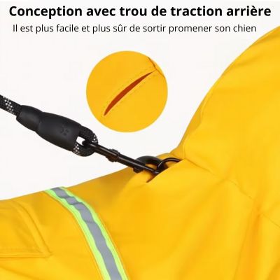 impermeabe pour chien conception laisse