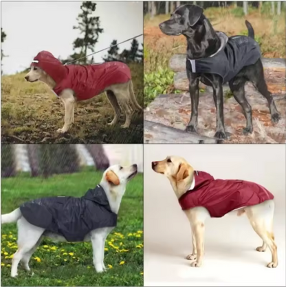 Imperméable  pour chien ajustable confortable
