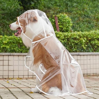 Imperméable pour chien​ confort