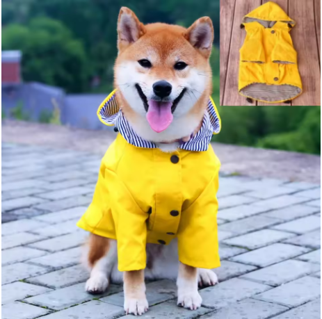 impermeable pour chien dehors assis pave