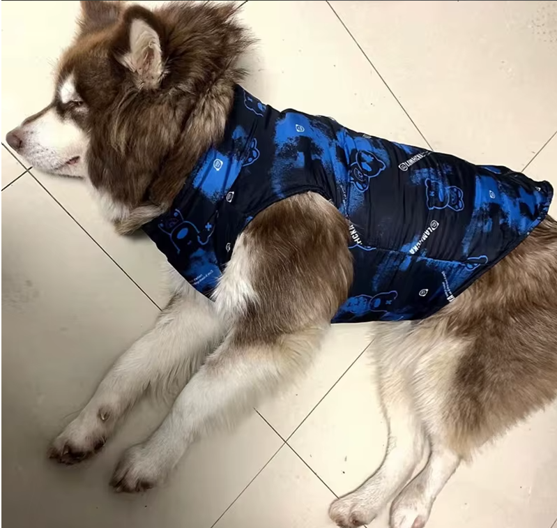 Imperméable pour chien douillet petit chien