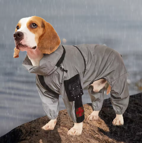 Imperméable pour chien étanche pour promenade sous pluie