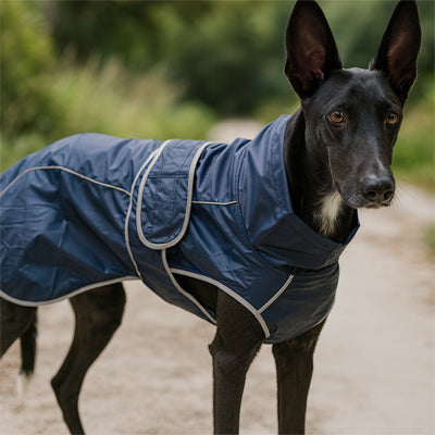 impermeable pour chien grande taille bleu
