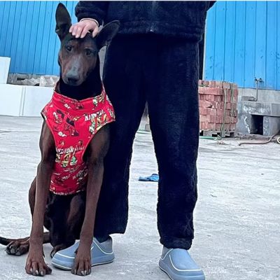 Imperméable pour chien grande taille rouge respirant léger