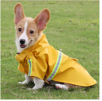 impermeable pour chien jaune petit chien