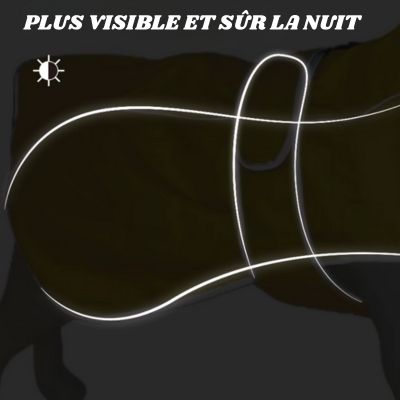 impermeable pour chien plus visible nuit