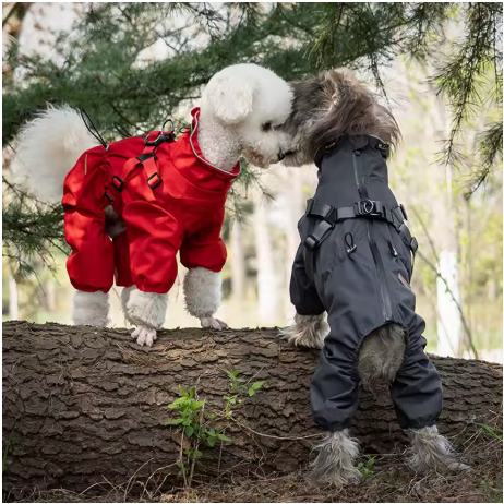 Imperméable pour chien polyvalent