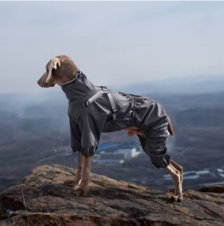 Imperméable pour chien qualité réglable