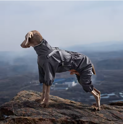 Imperméable pour chien qualité réglable