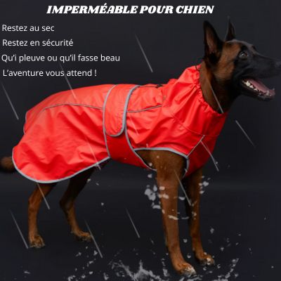 impermeable pour chien restez sec