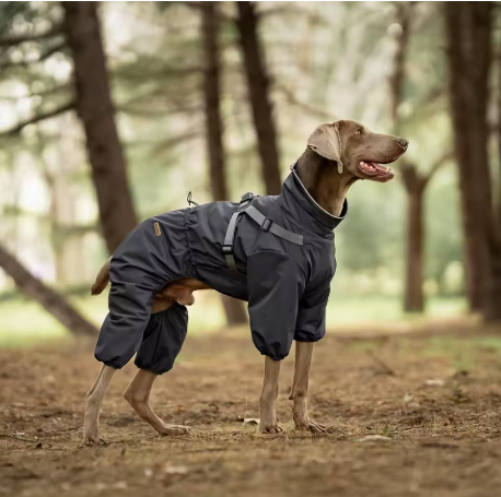 Imperméable pour chien-robuste durable
