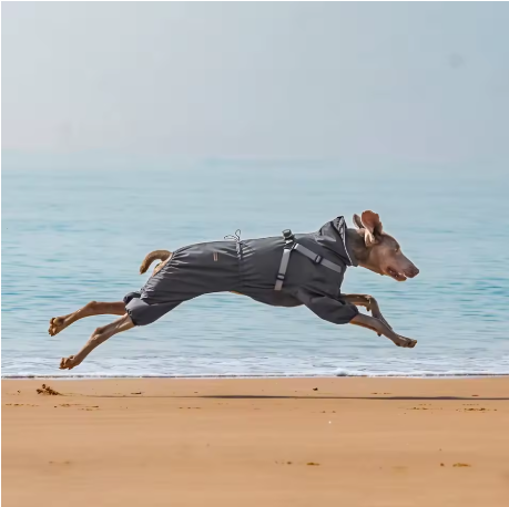 Imperméable pour chien toute liberté